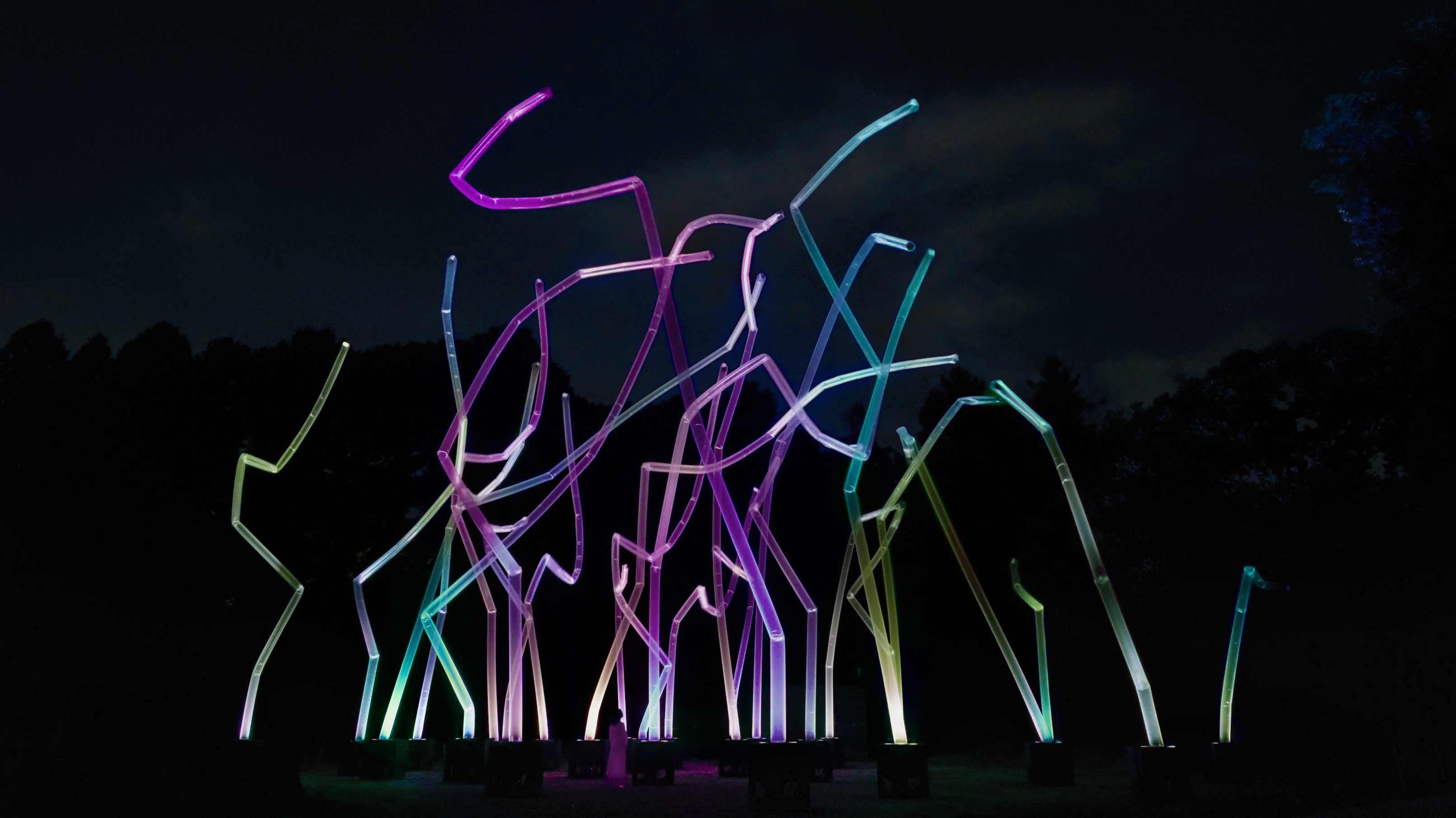 teamLab Botanical Garden Osaka Nagai Park E-ticket