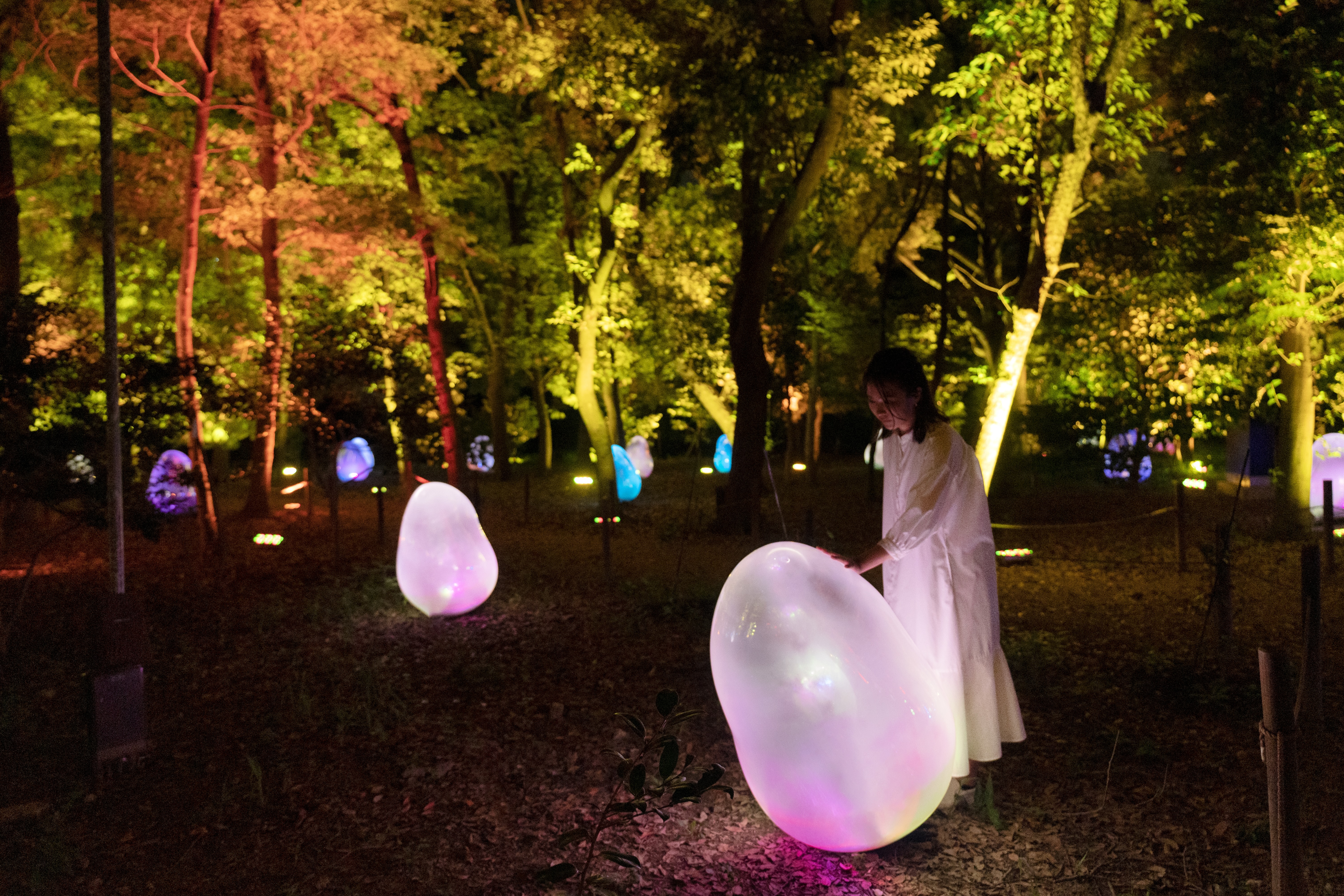 teamLab Botanical Garden Osaka Nagai Park E-ticket