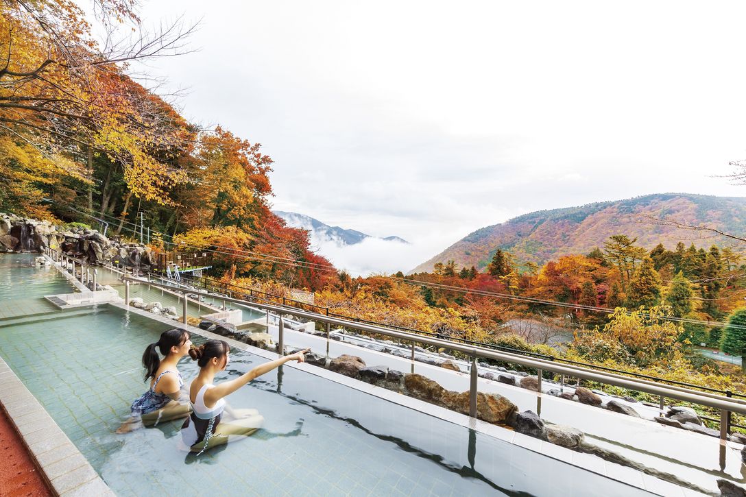 13時からお得に入場できる！ アフタヌーンパス | 箱根小涌園ユネッサン - オンライン予約・購入サイト｜LINKTIVITY Activity  Reservation System